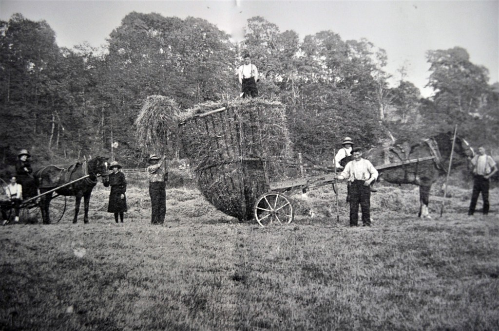 Hay Making. Date unknown.