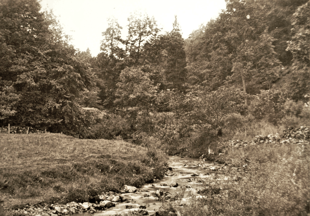 Laben. Date unknown.